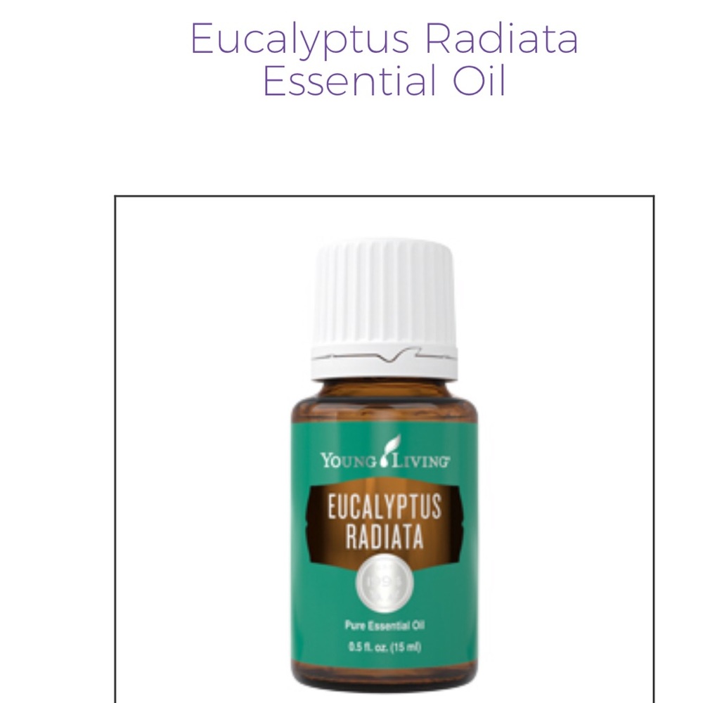 NEW SEALED 15 ml Eucalyptus Radiata Essential Oil
